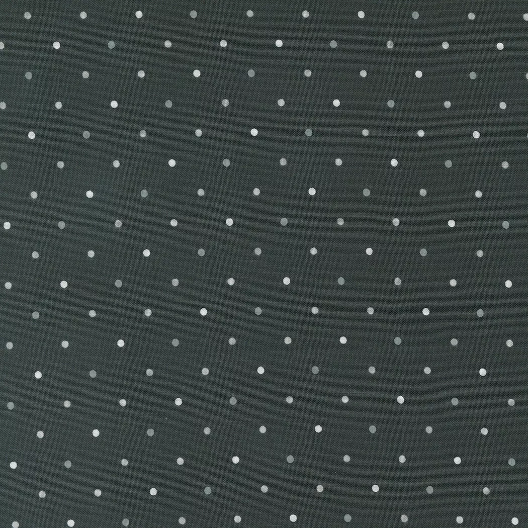 Wild Honey - Magic Dot - Charcoal